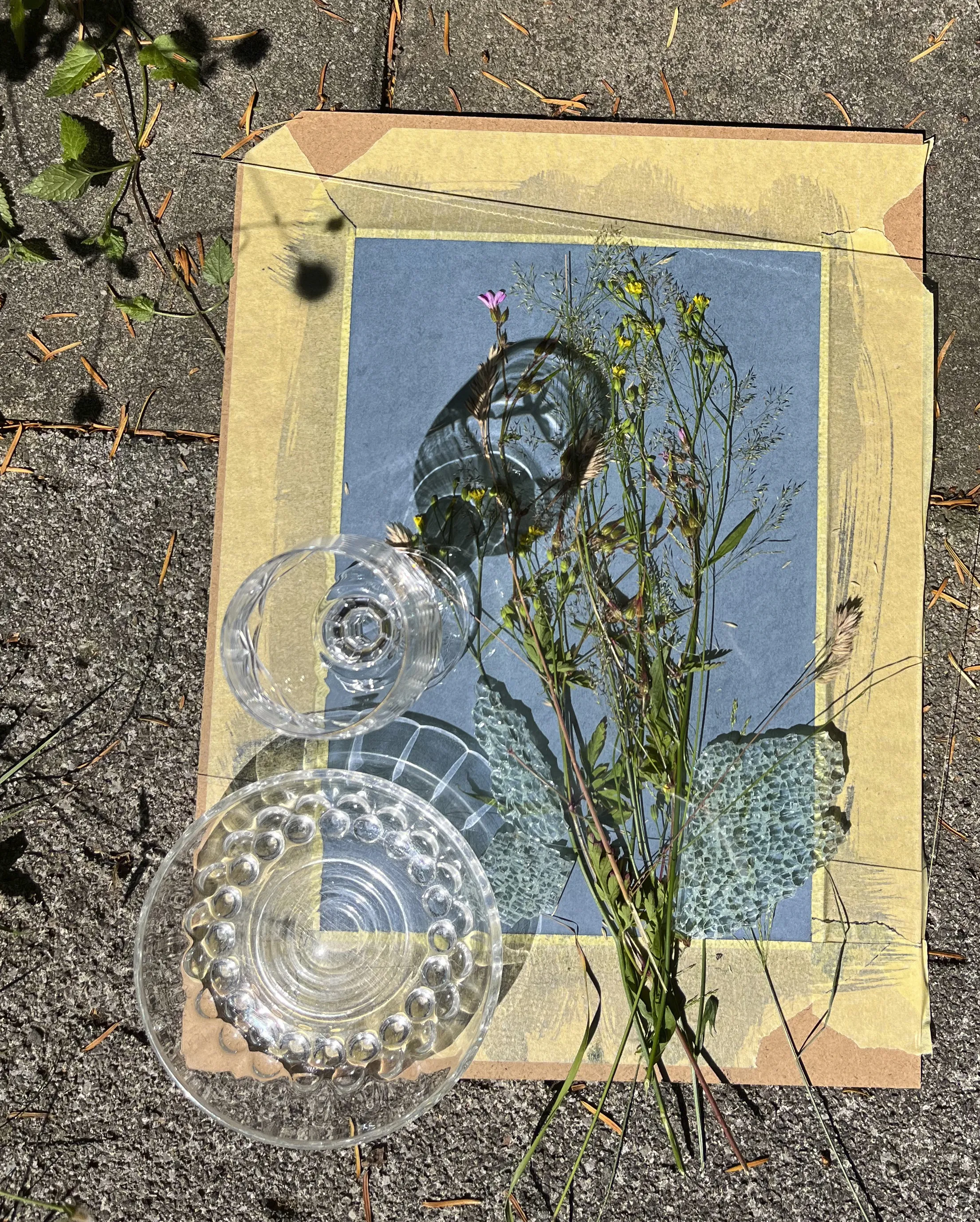 Cyanotype - Process