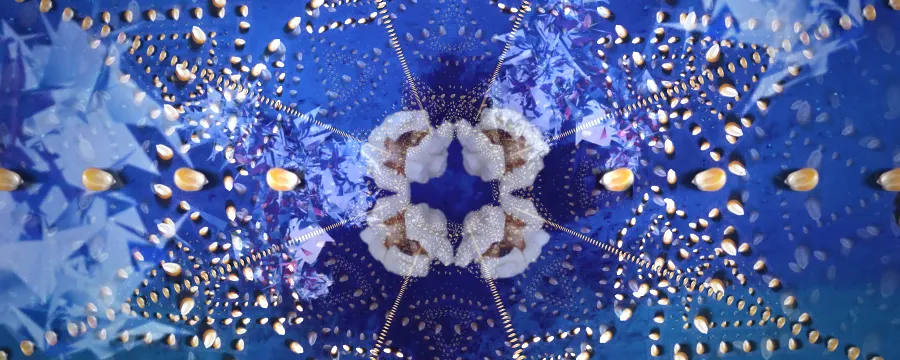 StopTrik Trailer - c Reinhold Bidner