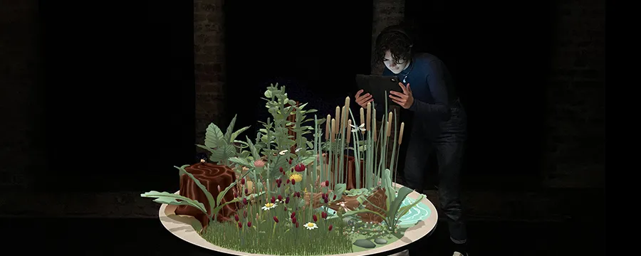 Augmented Reality, Insekten und wir