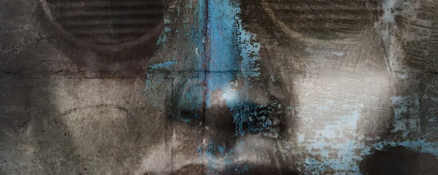 Ausstellung "Keimzelle" von periscope mit Video "Ex Terrat"